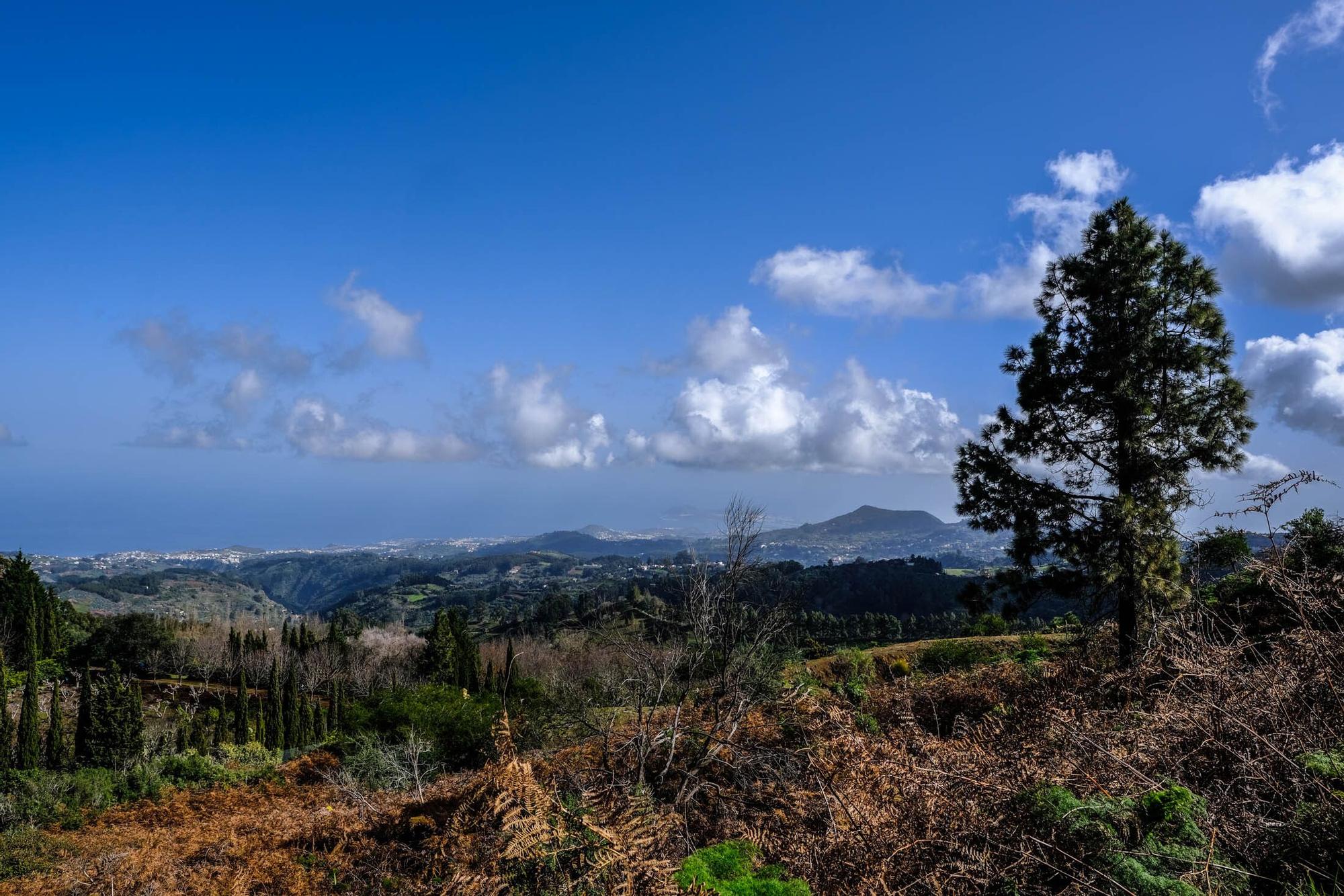 El tiempo en Gran Canaria (06/02/2023)