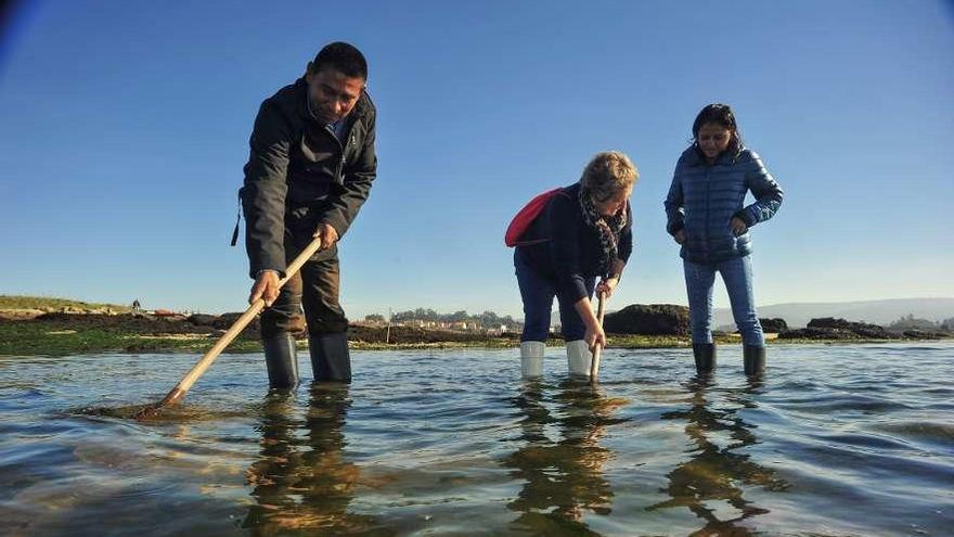 El viaje incluyó una visita al banco marisquero de O Sarrido, en Cambados. // Iñaki Abella