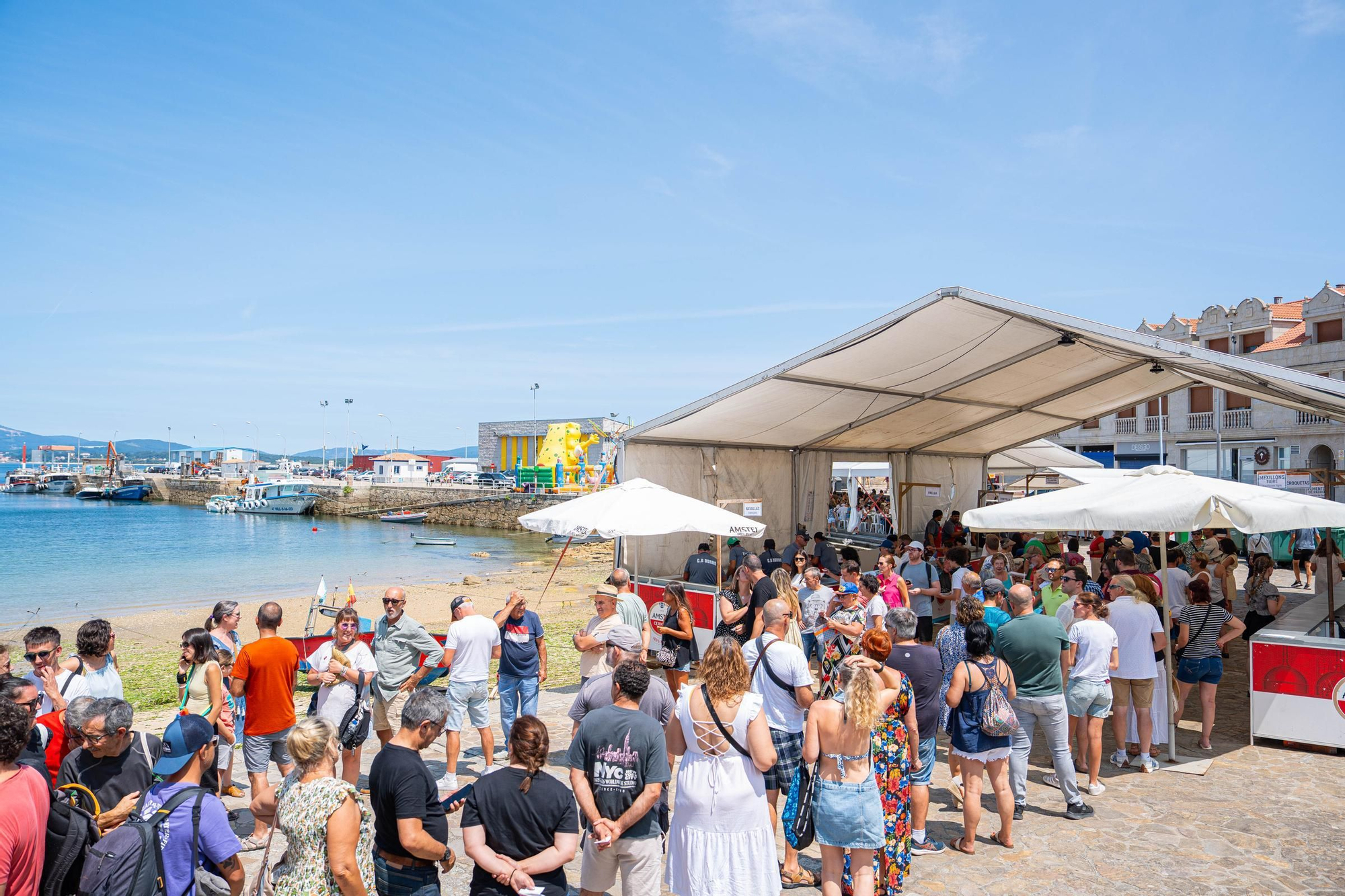 La Festa da Navalla supera las mejores previsiones con más de 1.000 kilos en ventas