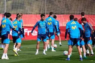 ¡Baja de última hora para la selección española!