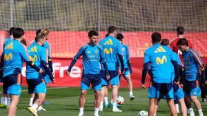 Zubimendi, en una sesión de la concentración con España