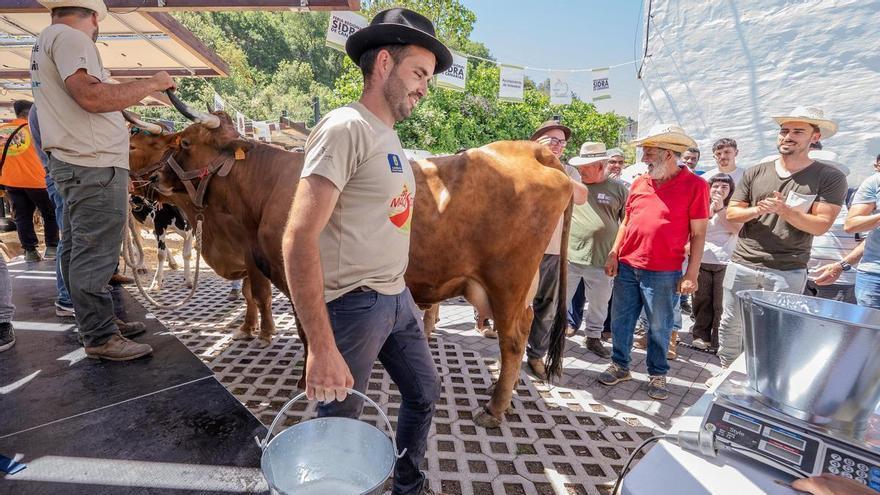 Casi 22 kilos de leche en un minuto: así fue la I Copa Ordeñador Valleseco 2026