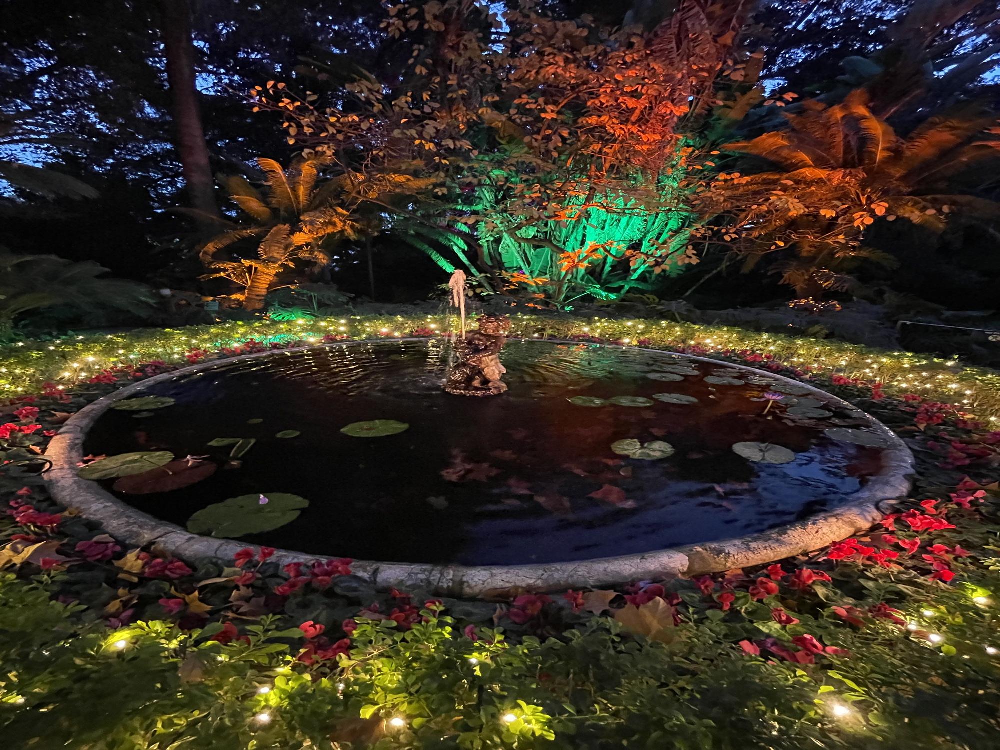 El Jardín Botánico Histórico La Concepción enciende sus luces de Navidad