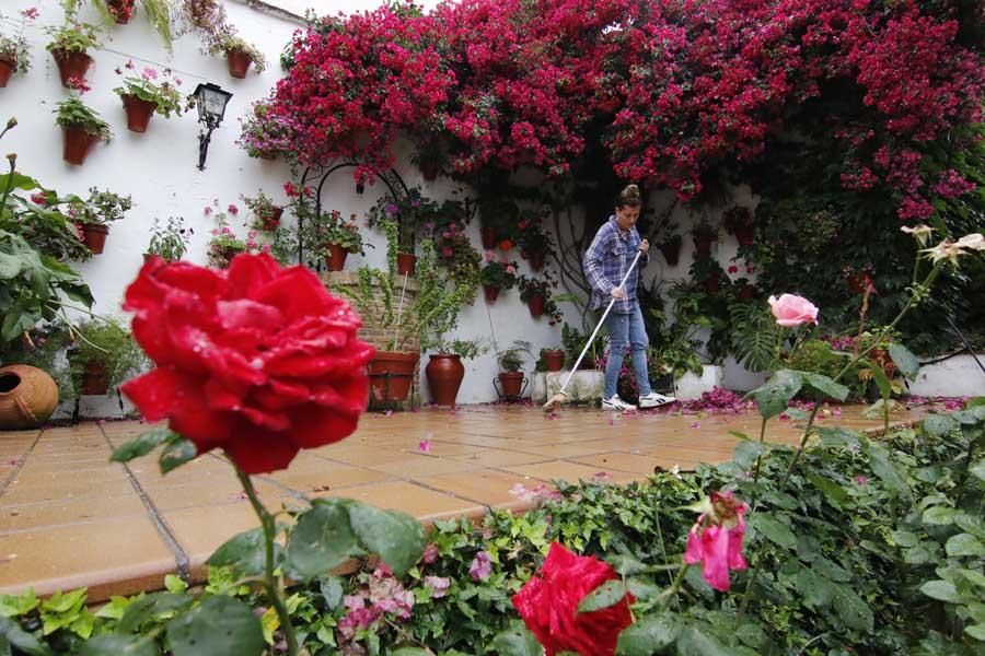 Los patios de Córdoba, San Lorenzo 2