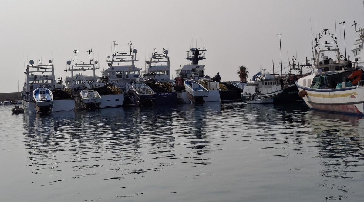 Atuneros atracados y abarloados en el puerto de Xàbia
