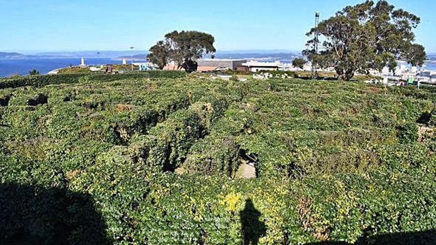 El laberinto del monte de San Pedro.