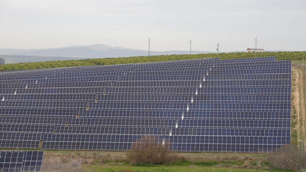 Imagen de una planta de energía solar de la provincia de Córdoba.