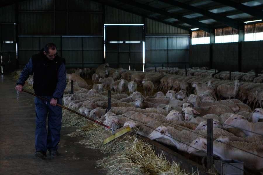 Juan Vicente Herrera visita Zamora