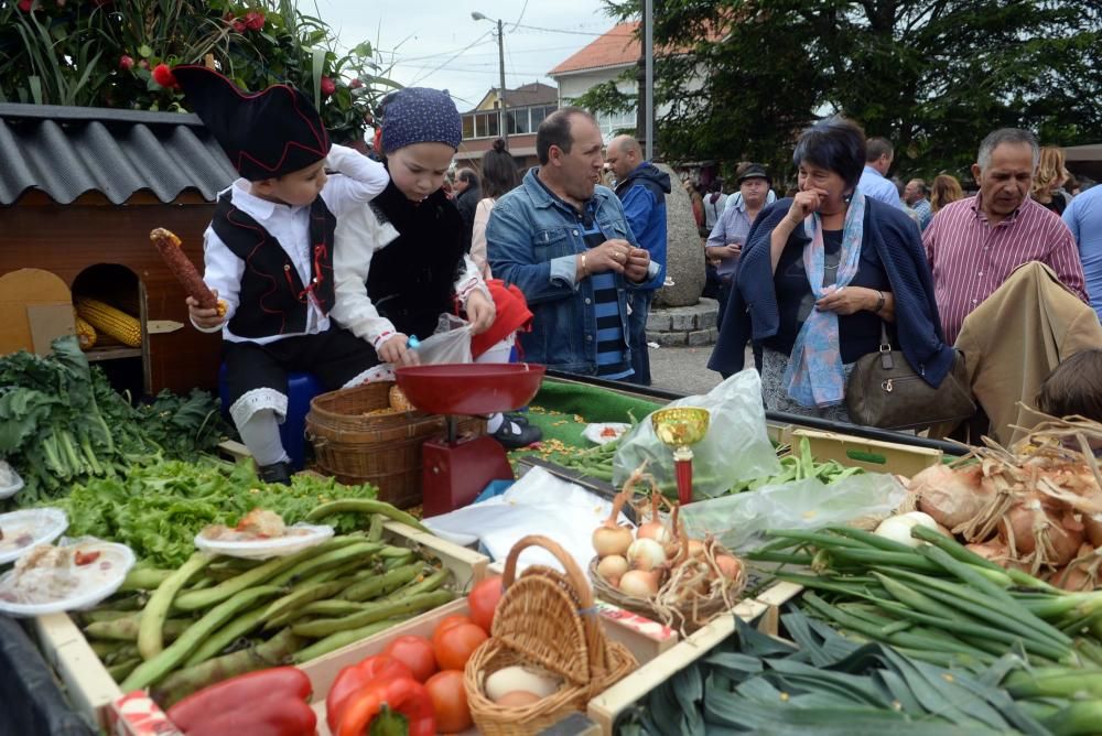 Los tractores más bonitos desfilan por Vilanova