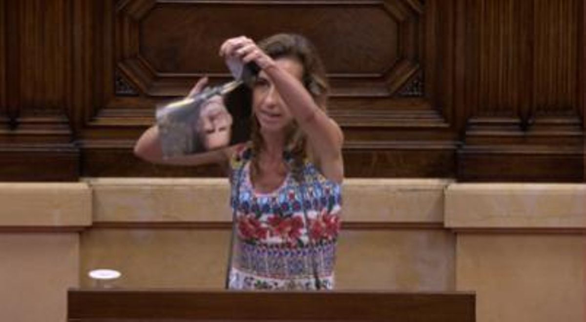 Laia Estrada rompe una imagen del Rey Felipe VI.