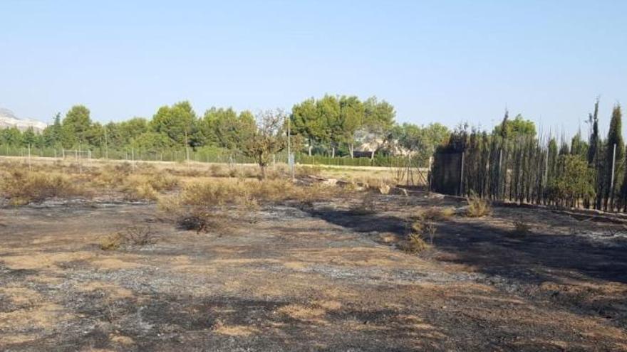 Así quedó el paraje tras el incendio, que calcinó dos hectáreas de vegetación y, gracias a los bomberos, no fue a más.