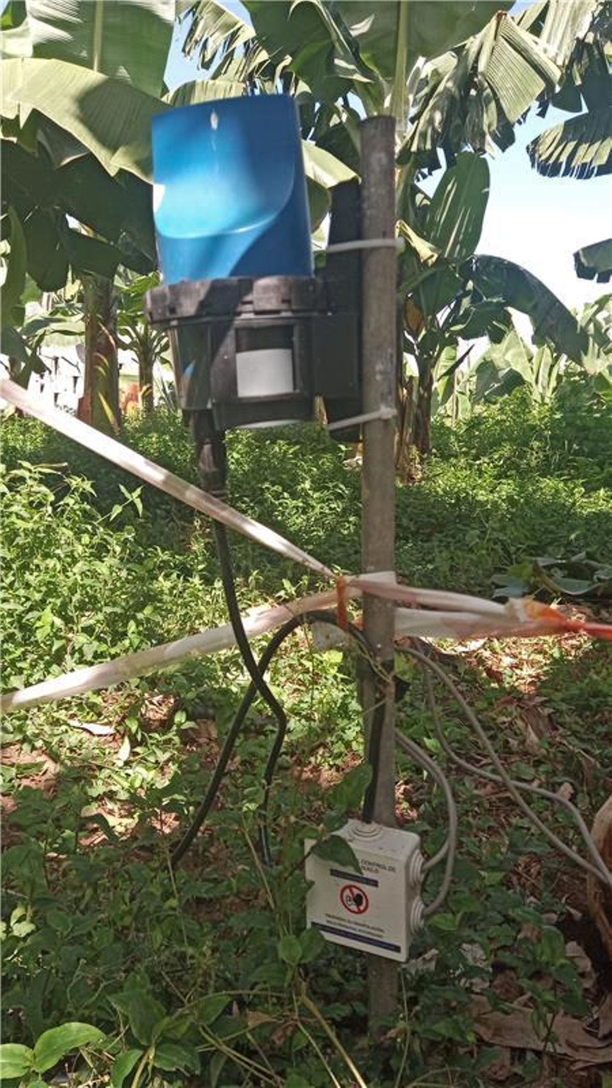 Sistema del proyecto Regadía.