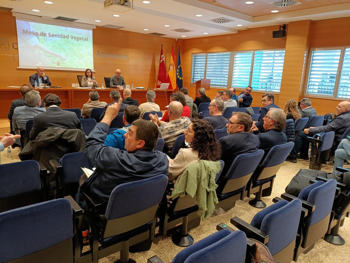 Sindicatos agrarios, exportadores y otras entidades vinculadas al sector agrícola, este miércoles en la Mesa de Sanidad Vegetal.