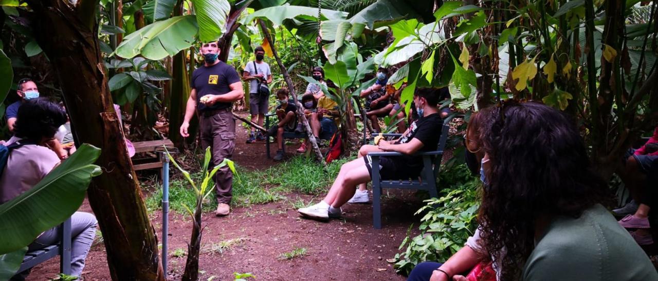 Un grupo de personas realizan una actividad en el interior de la Ecofinca Platanológico.