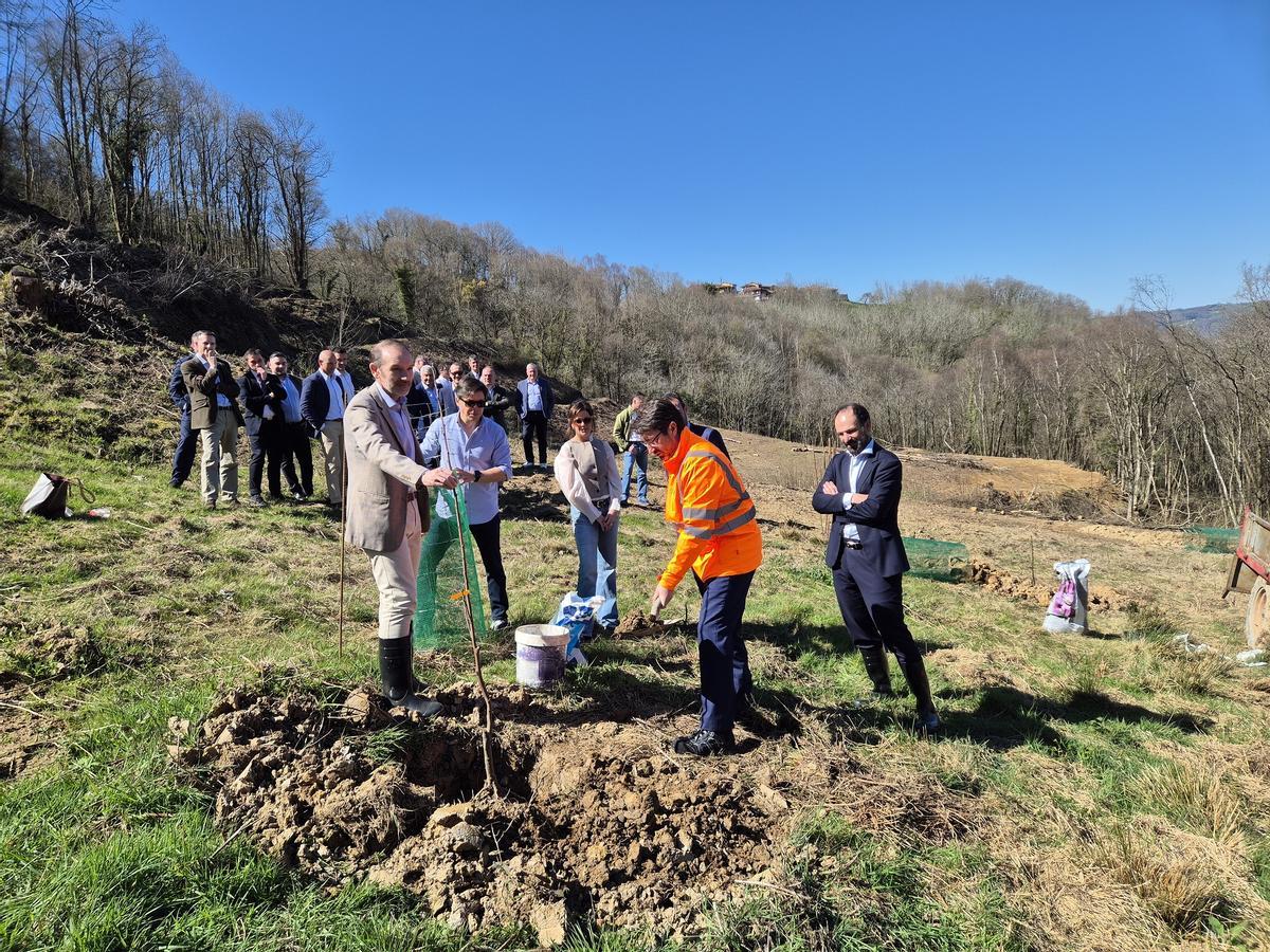 Responsables de Caja Rural de Asturias, Hunosa Empresas y Sodeco, plantando castaños en El Carbayu, en Langreo