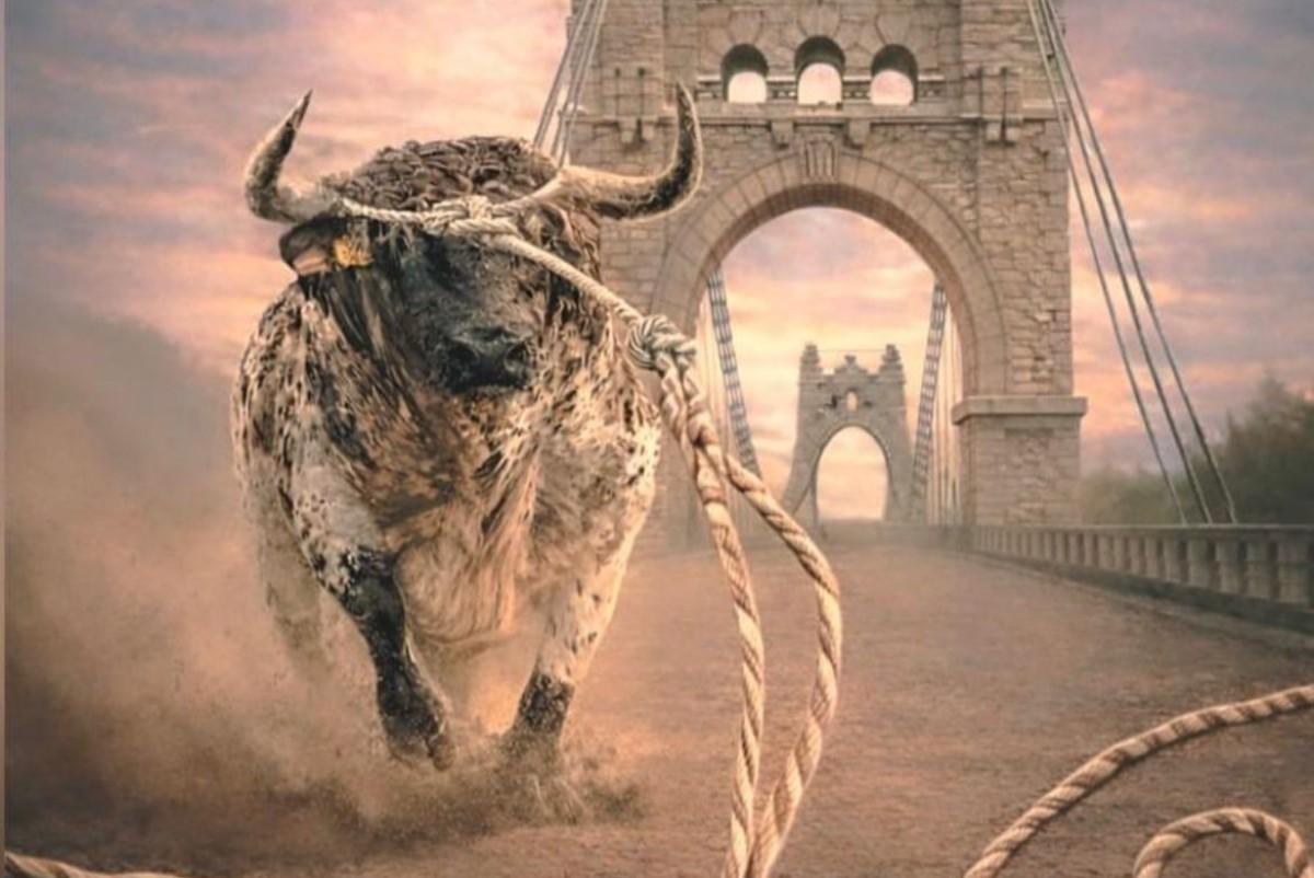 La ABTE participa este sábado en la gala anual previa al XXI Congreso Nacional en Amposta (Tarragona).