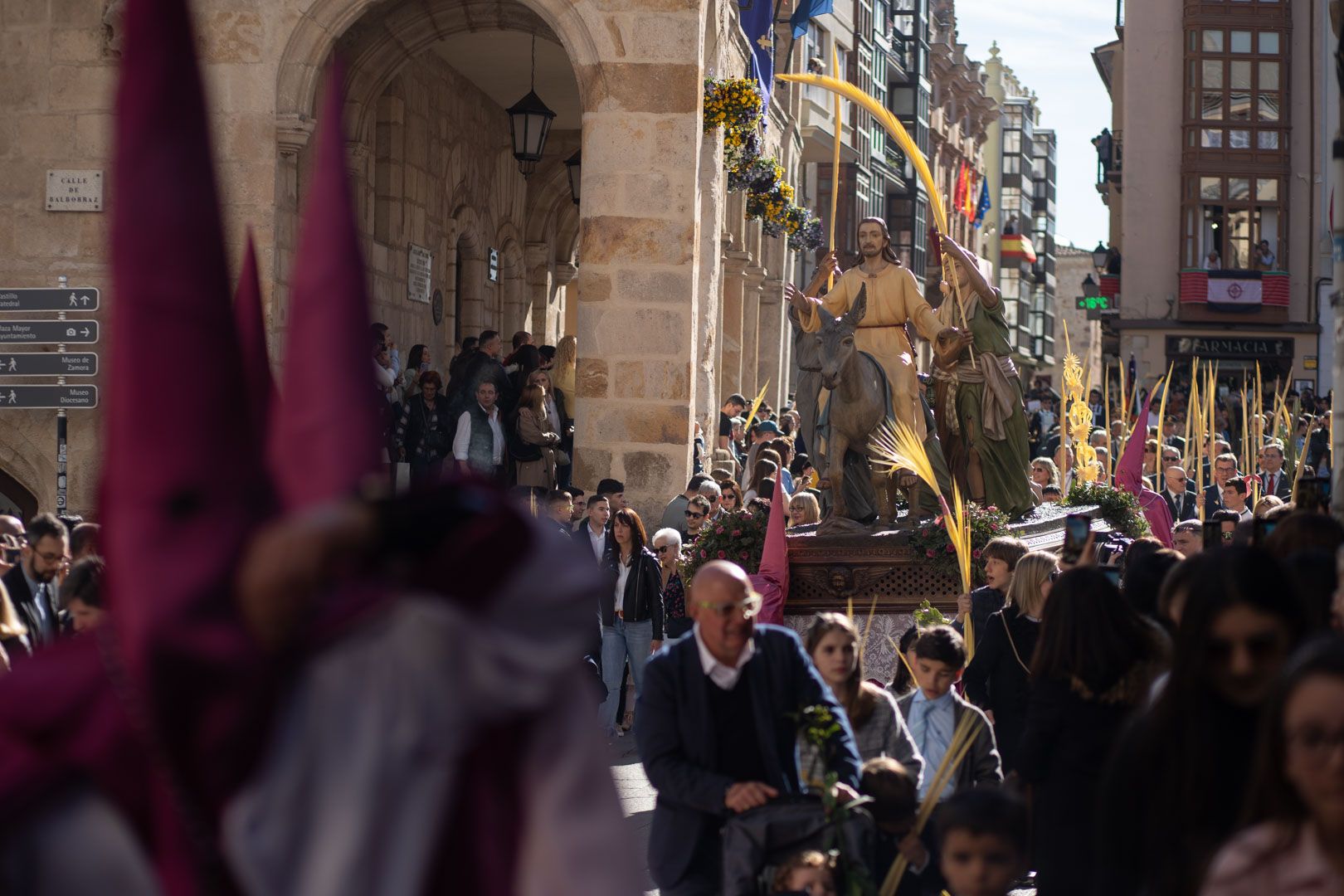 GALERÍA | La mejores imágenes de la procesión de La Borriquita