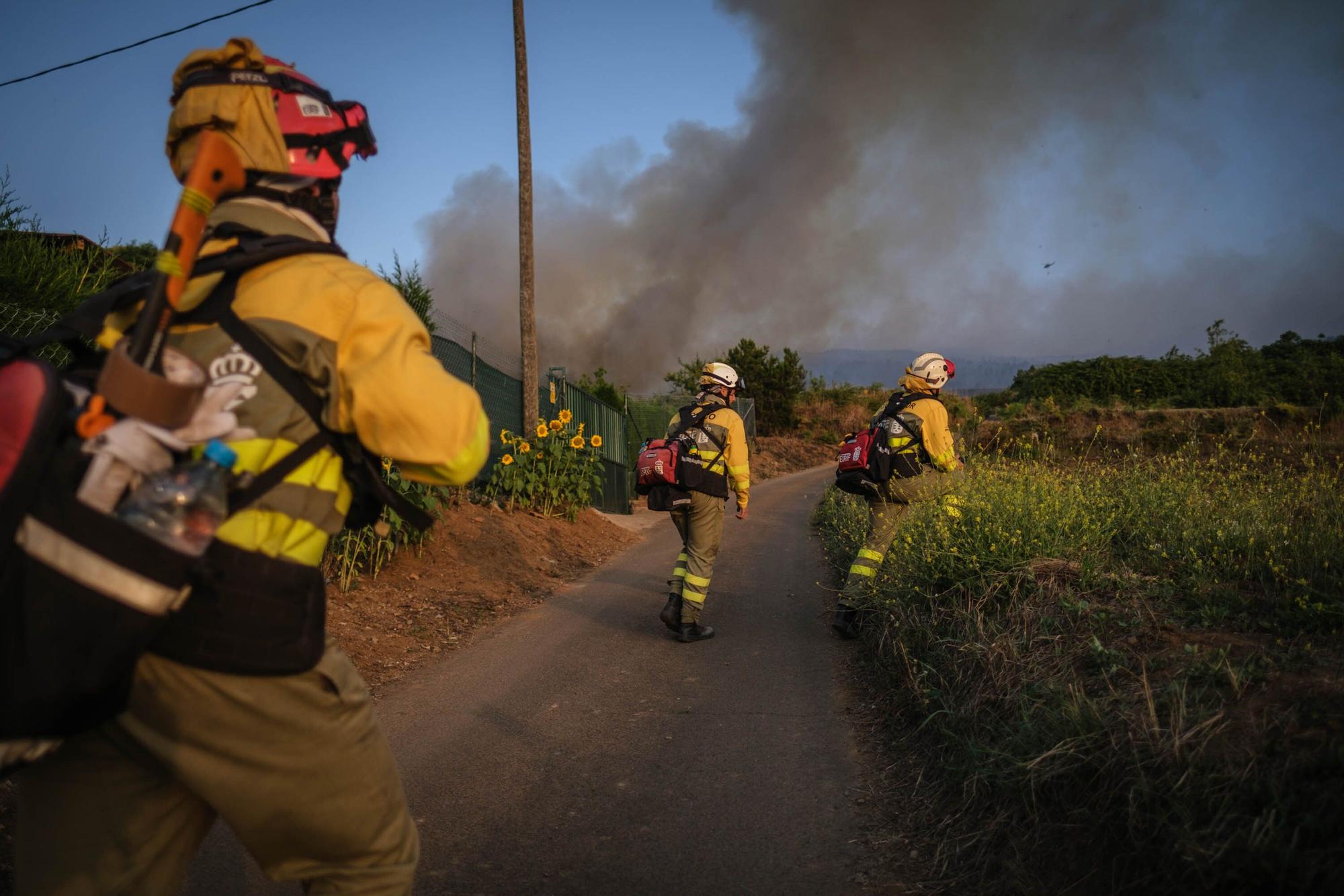 El incendio forestal de Tenerife, en imágenes