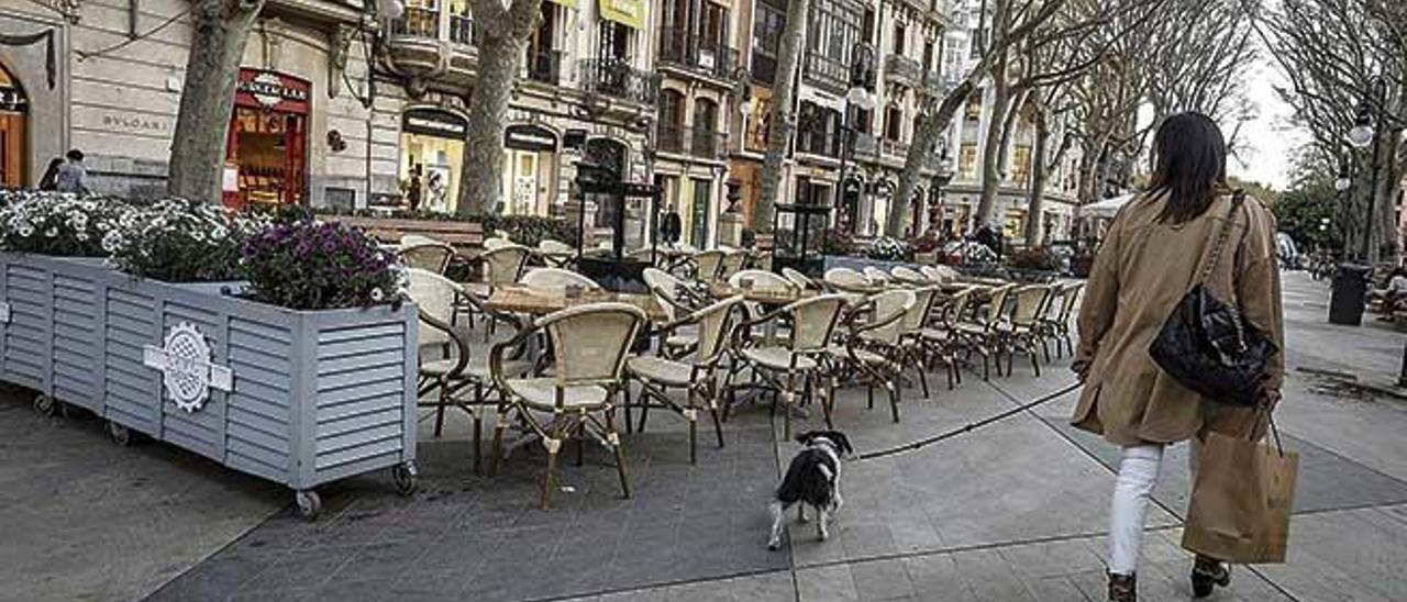 Una mujer pasea con su perro por el Paseo del Born.