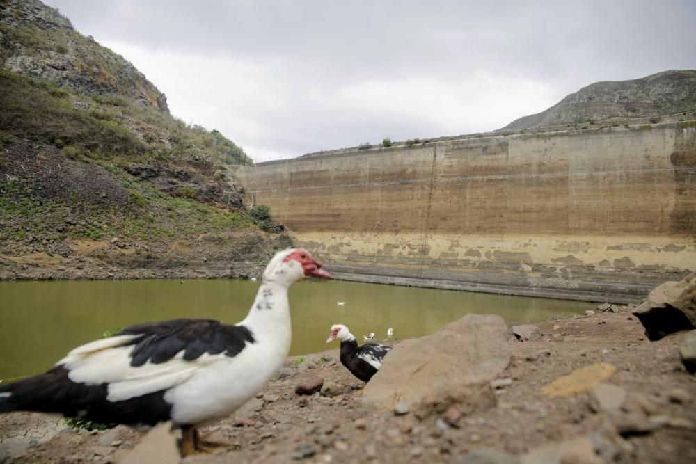 Embalses Valle Tabares y Tegueste