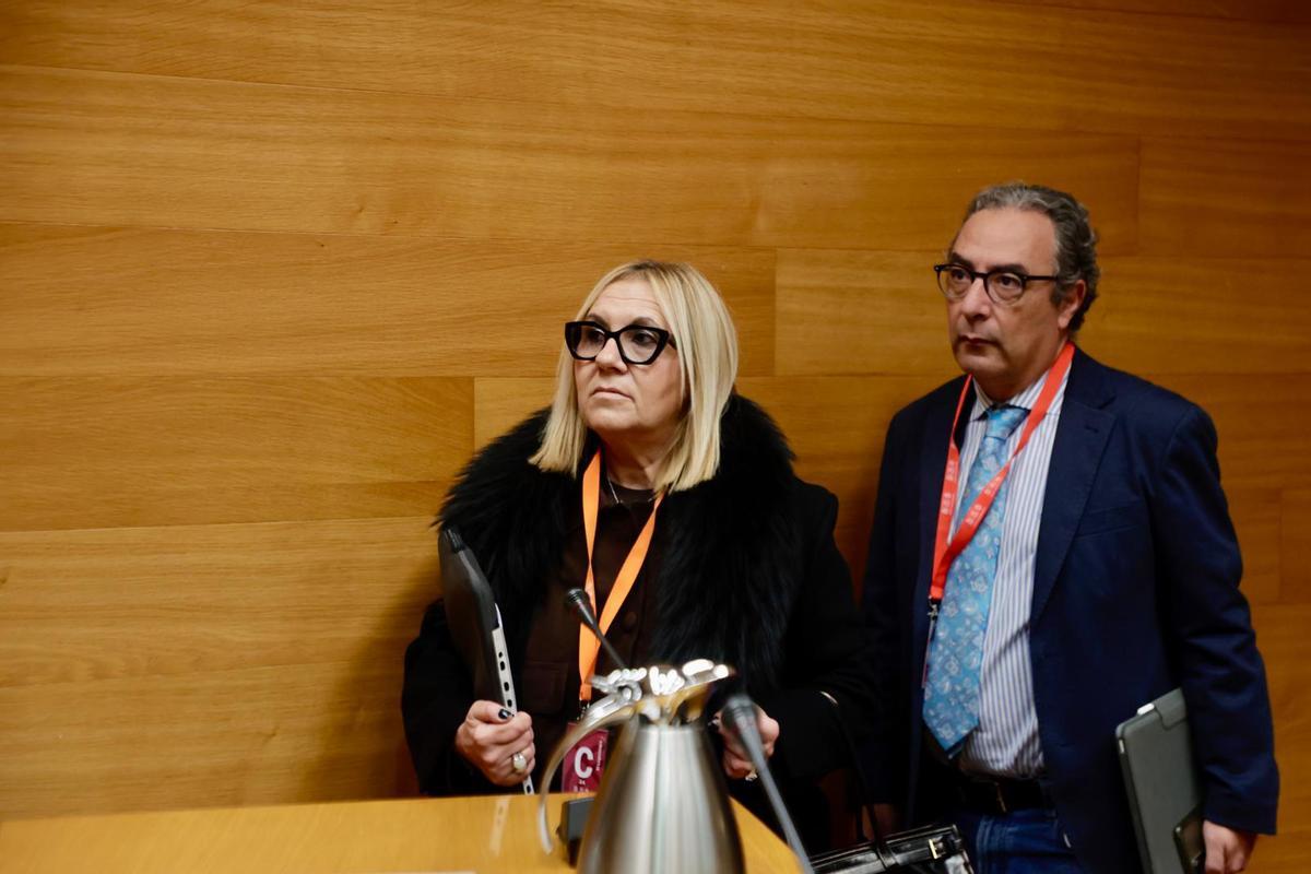 Asociaciones de víctimas declaran en la Comisión de la dana en las Corts