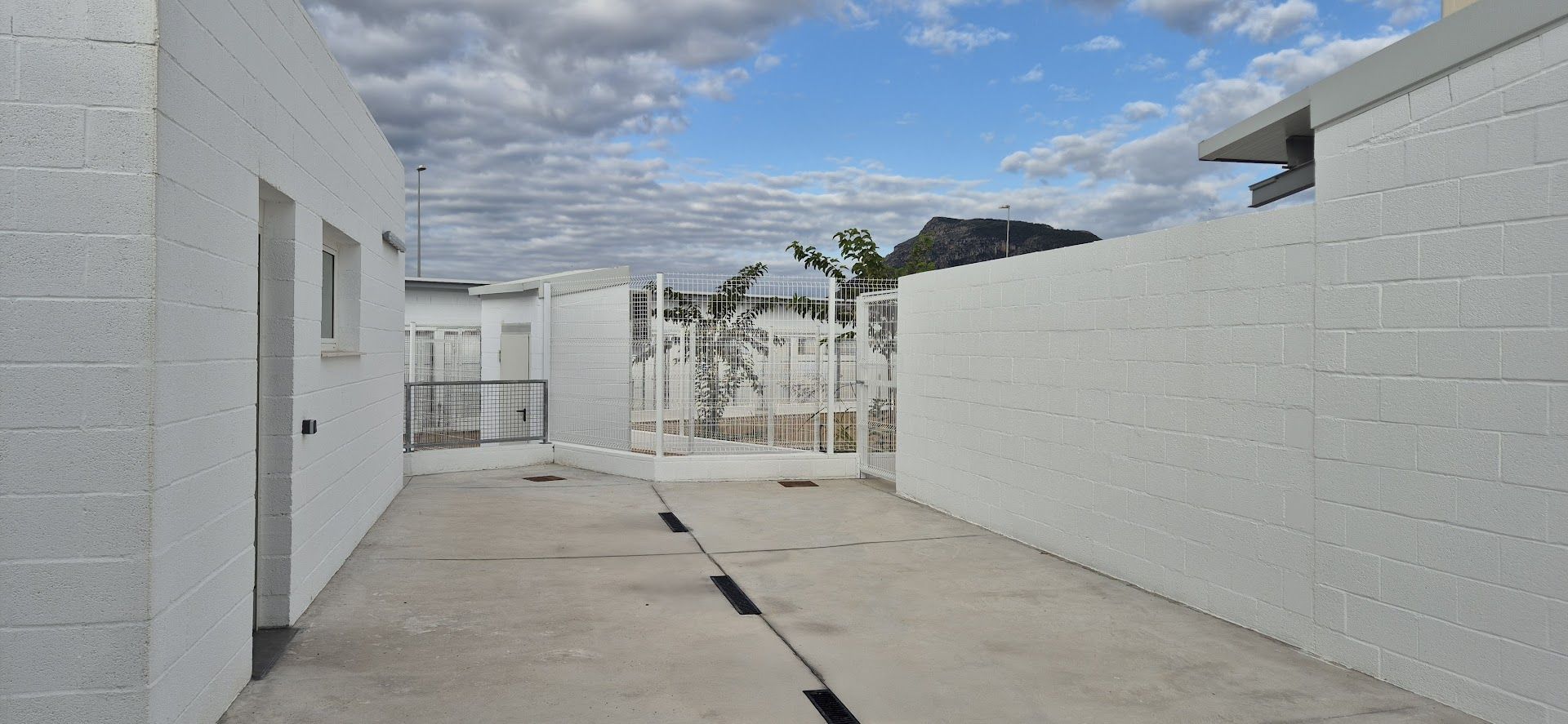 Inauguración del Centro de Acogida de Animales de la Safor en Tavernes de la Valldigna