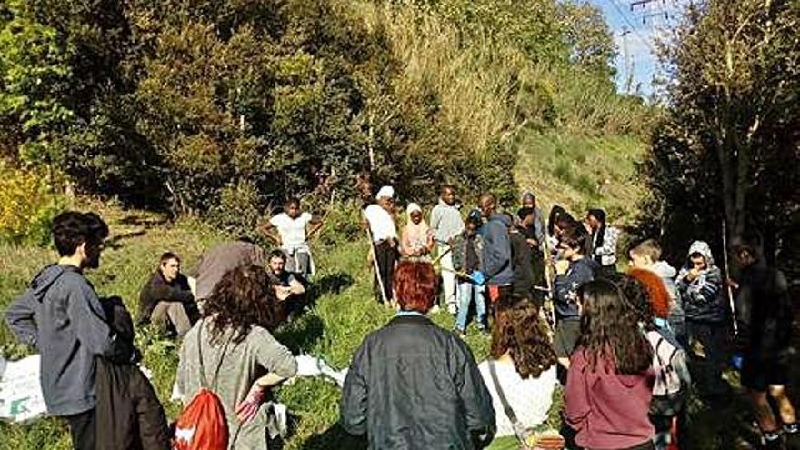 Un moment de la neteja del bosc del volcà la Garrinada.