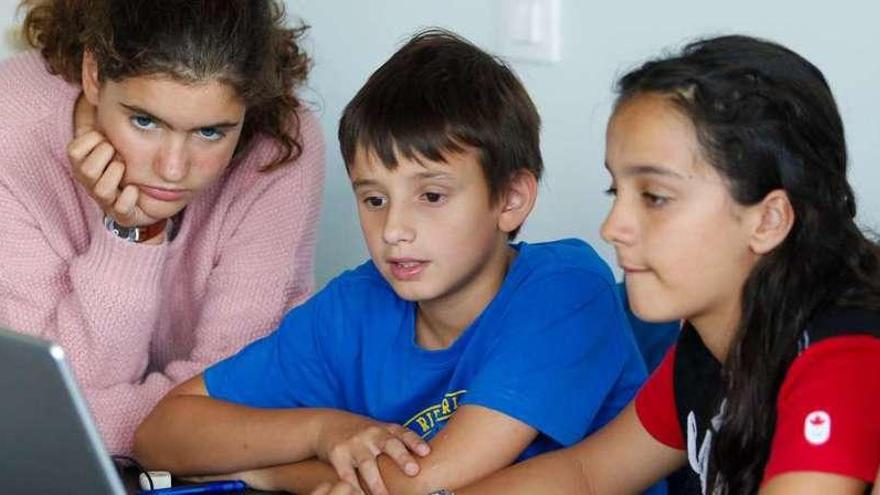 Cuatro alumnos de los talleres tecnológicos, ayer, en el Vivarium.