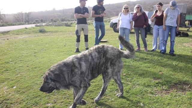 Algunos de los participantes conocen el terreno en un paisaje sanabrés. | ARACELI SAAVEDRA