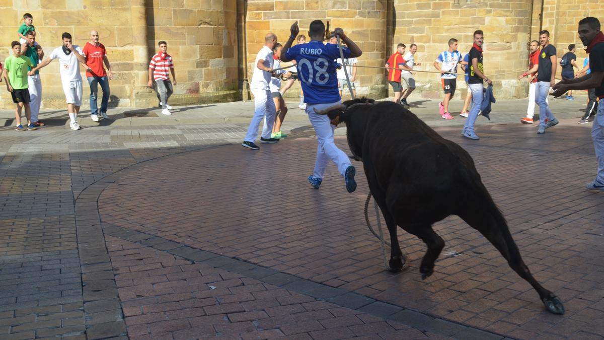 Un Torito del Alba en Santa María.