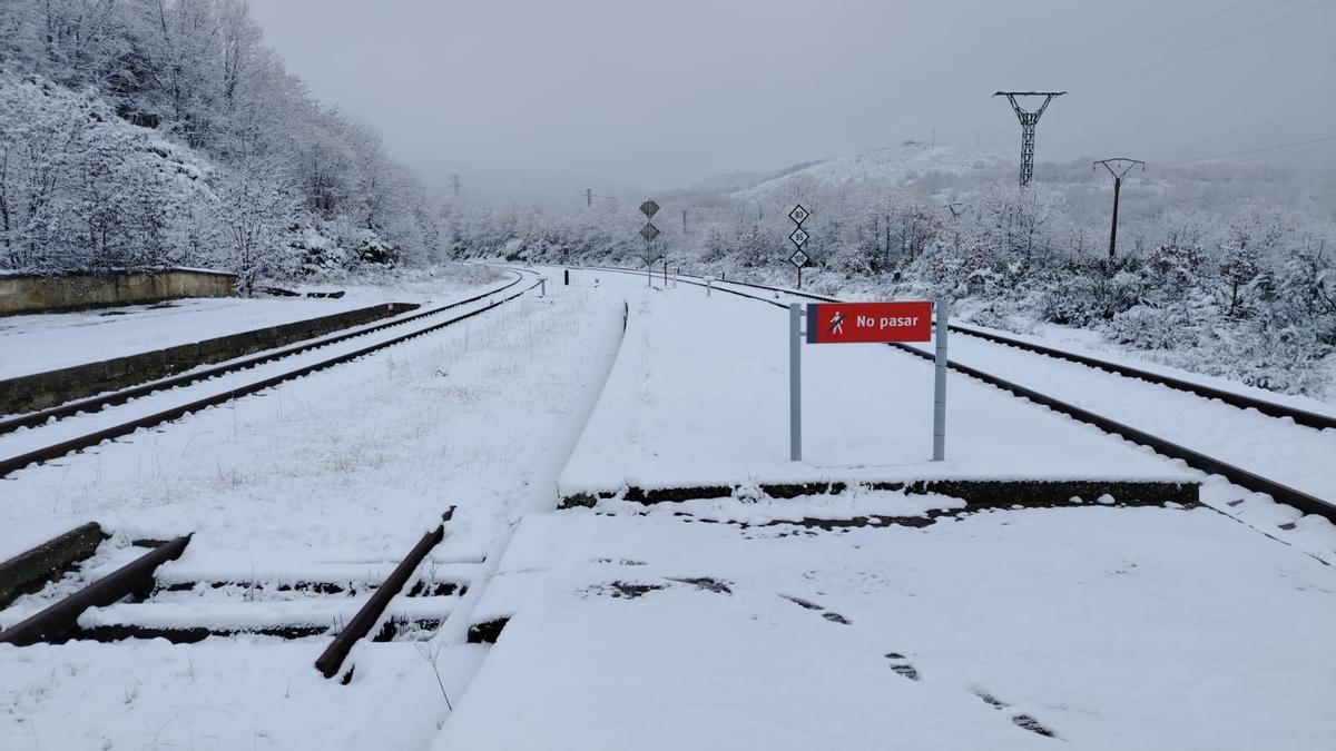 Primeras nevadas en Sanabria