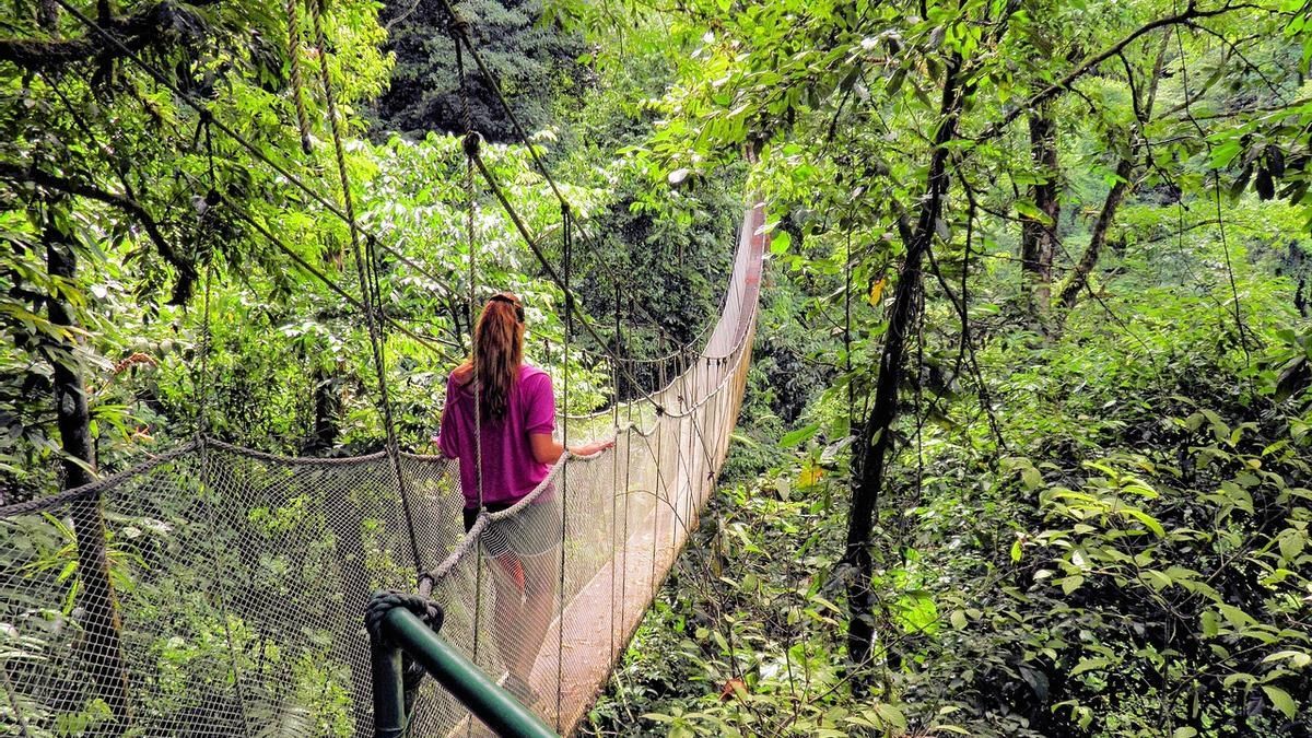 La ruta con puentes colgantes cerca de Alicante que parece la selva tropical.