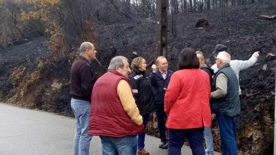 Visita del gobierno a zonas afectadas por los incendios. // D.P.