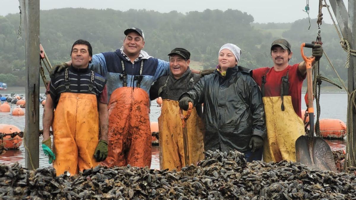 El «milagro del chorito» o cómo Chile multiplicó por 200 su producción de mejillón en 30 años