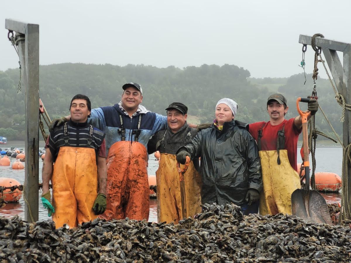 Productores de mejillón chilenos con parte del cultivo extraído del mar.