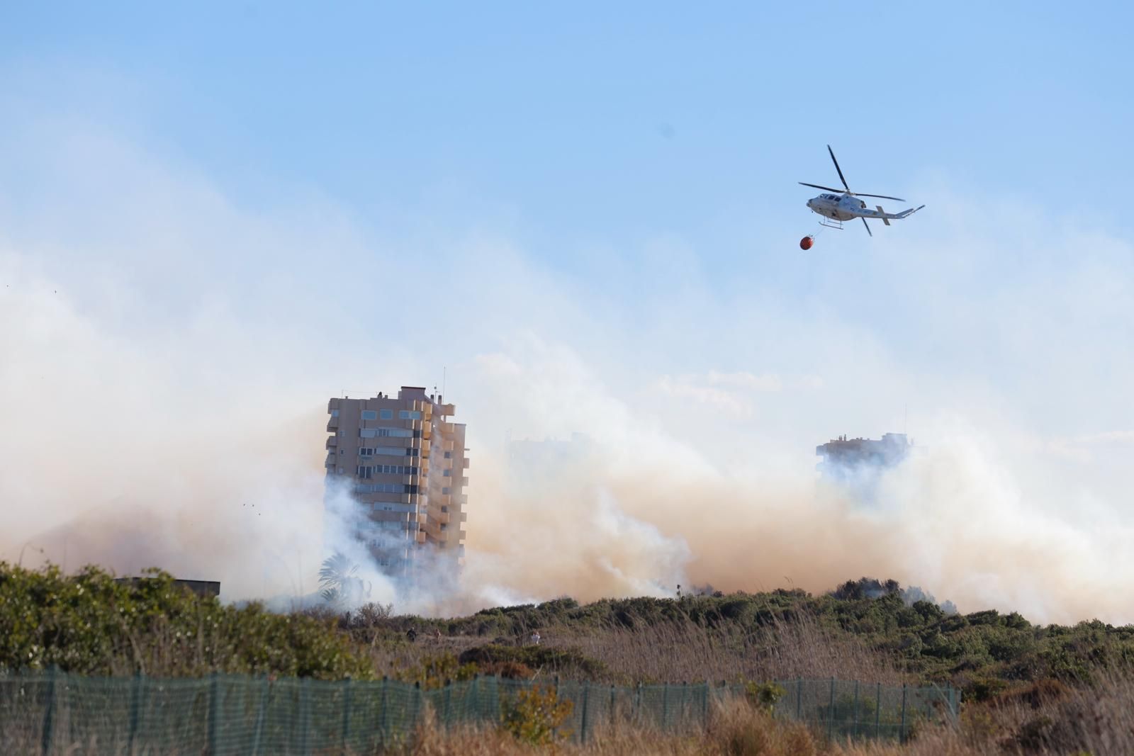 Declarado un incendio en el Saler