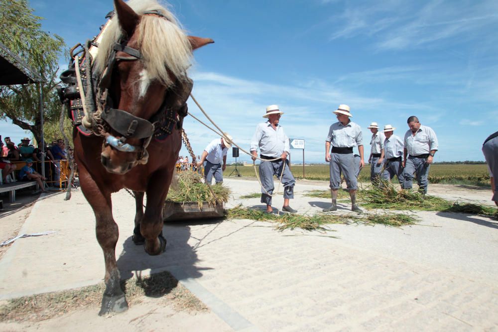 Fiesta de la Siega del Arroz