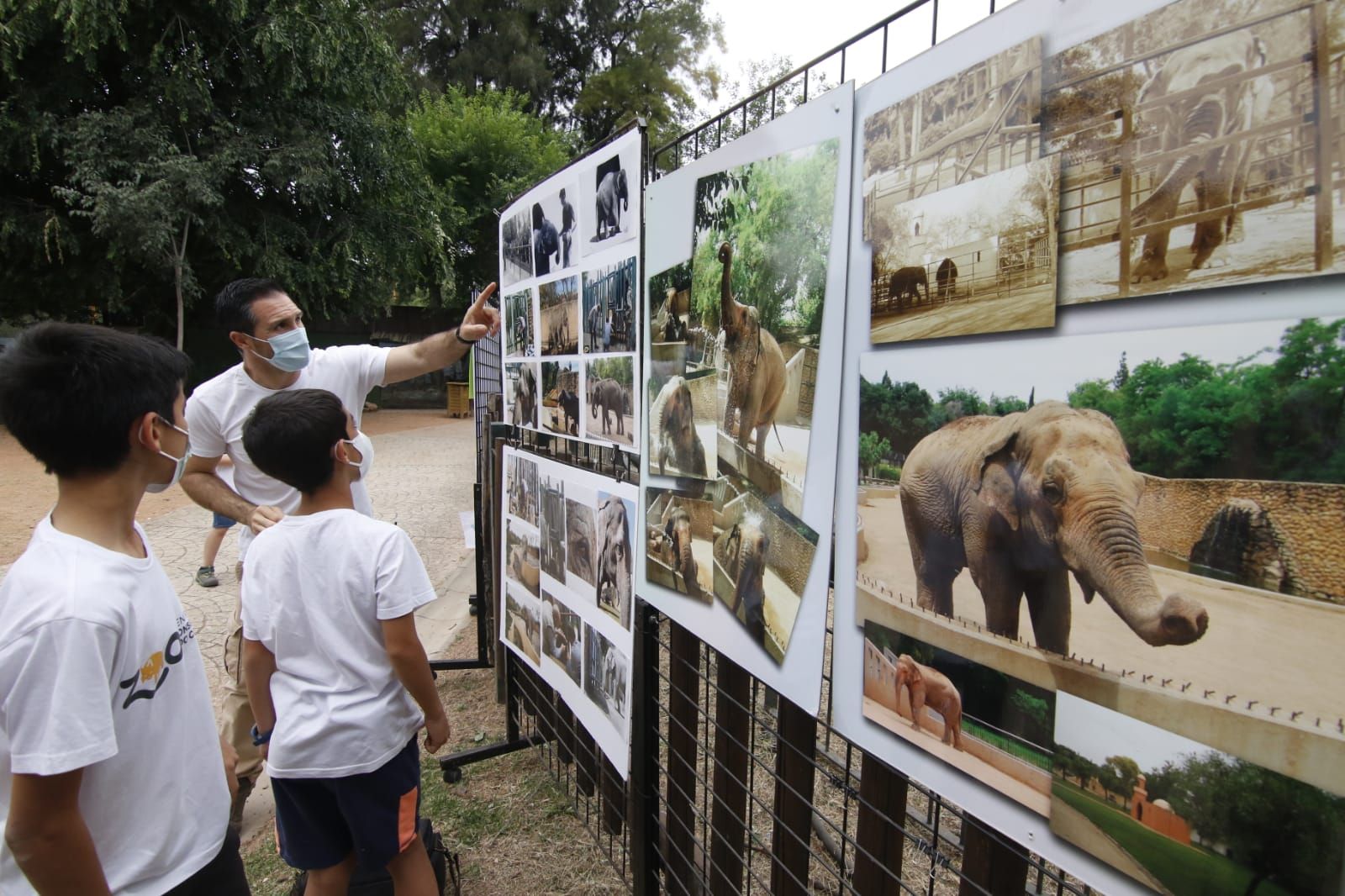 Una escultura recuerda a la elefanta Flavia, emblema del Zoo durante décadas