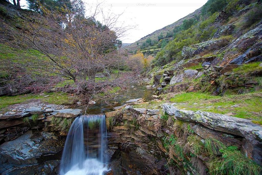 Vista del arroyo Palhais
