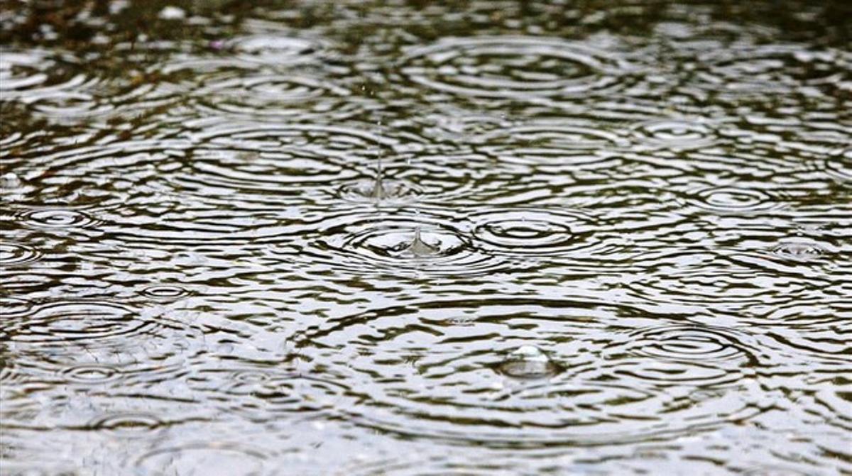 Bassal a la plaça de Catalunya, un dia de pluja.