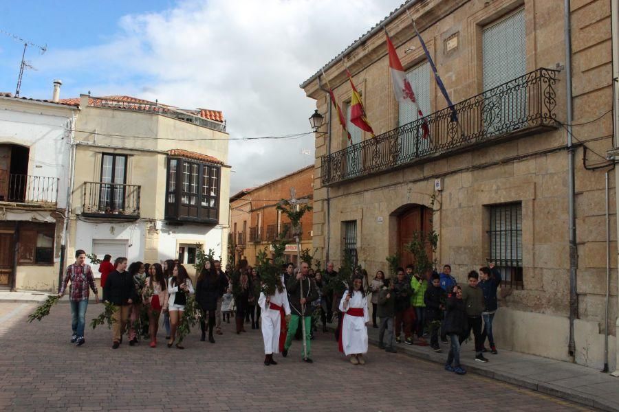 Procesión de Santa María en Fuentesaúco