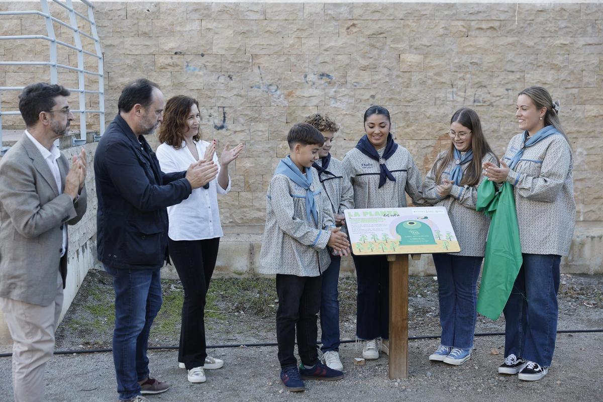 Cada casal fallero ha apadrinado un árbol Ficus nitida y también se ha colocado un atril con una placa identificativa del apadrinamiento de los ejemplares.