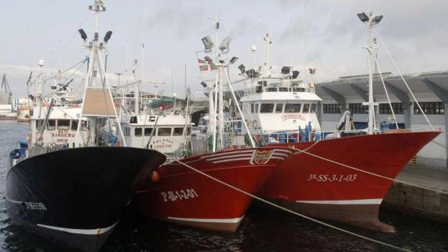 Buques que participan en la costera de la anchoa, amarrados en el puerto de A Coruña. / fran martínez