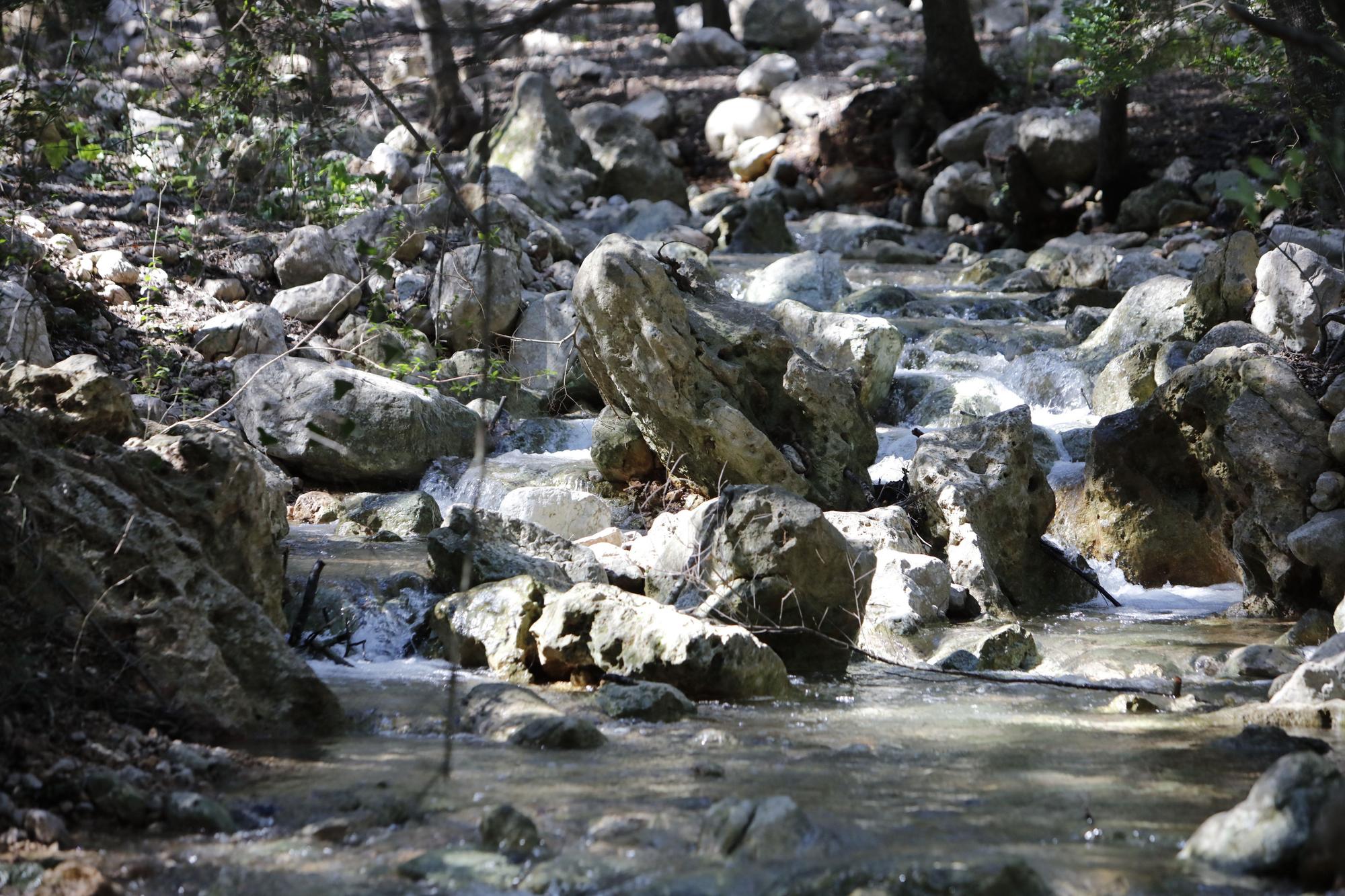 Die Quellen sprudeln wieder: Impressionen einer Wanderung zu Ses Fonts Ufanes auf Mallorca