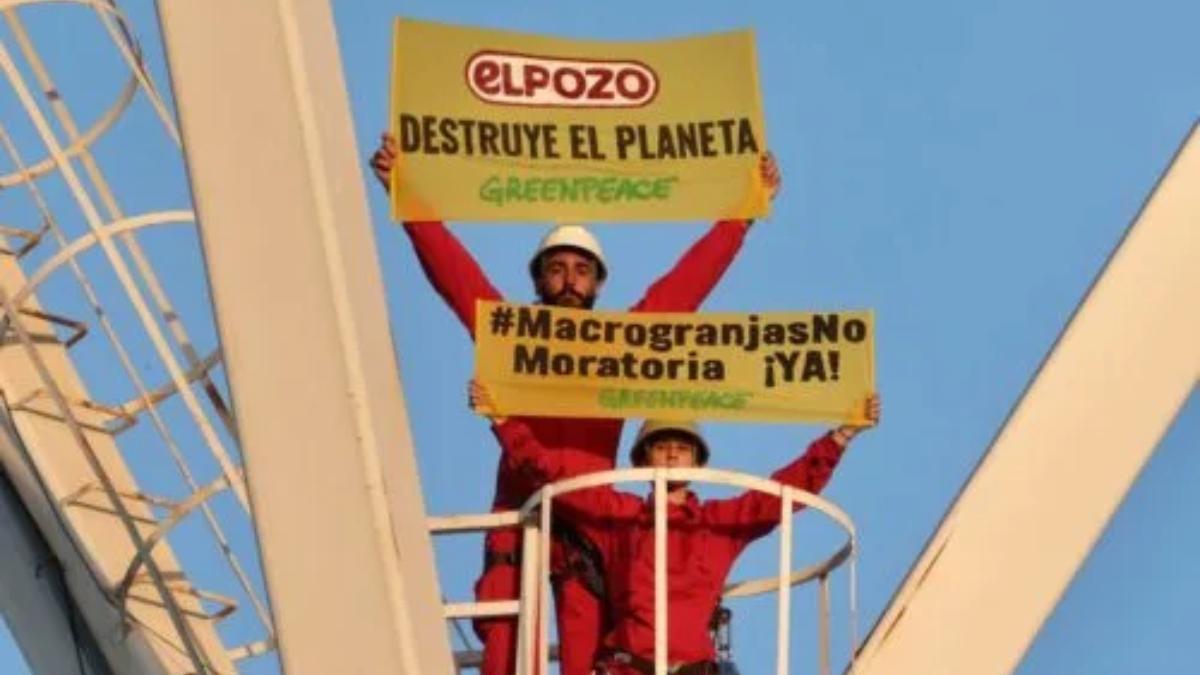 Activistas de Greenpeace, en las instalaciones de El Pozo en Alhama de Murcia.