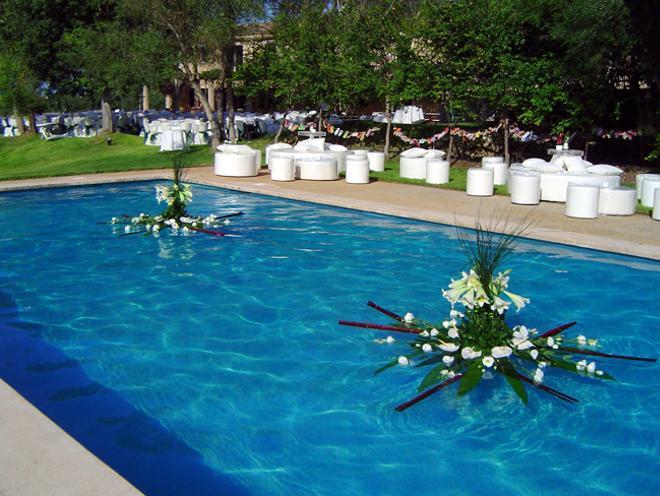 Flores para una boda al aire libre: Fronda