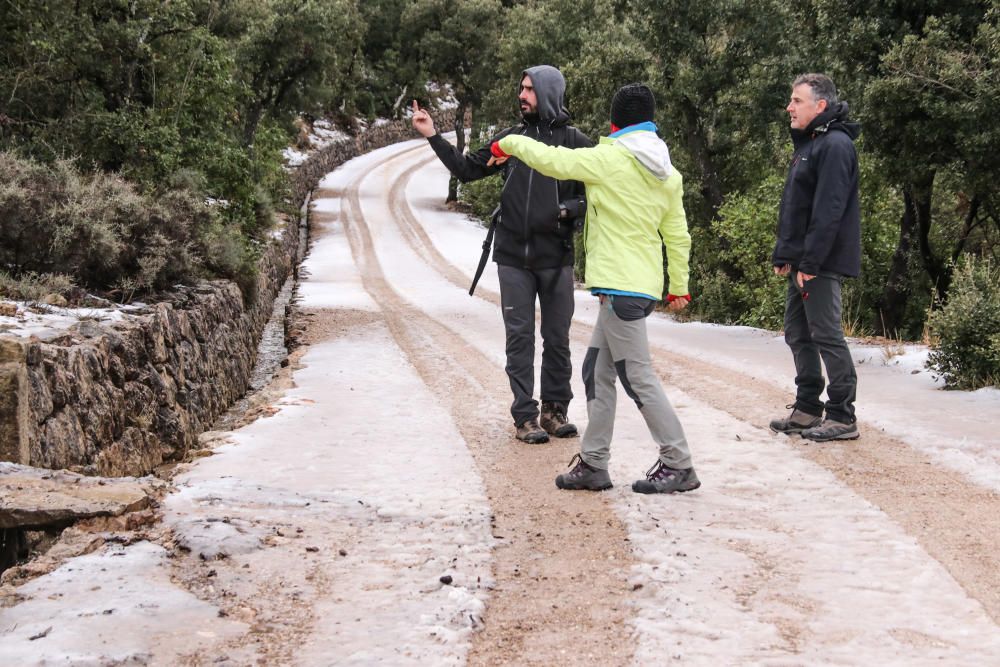 La nieve visita la Font Roja en Alcoy