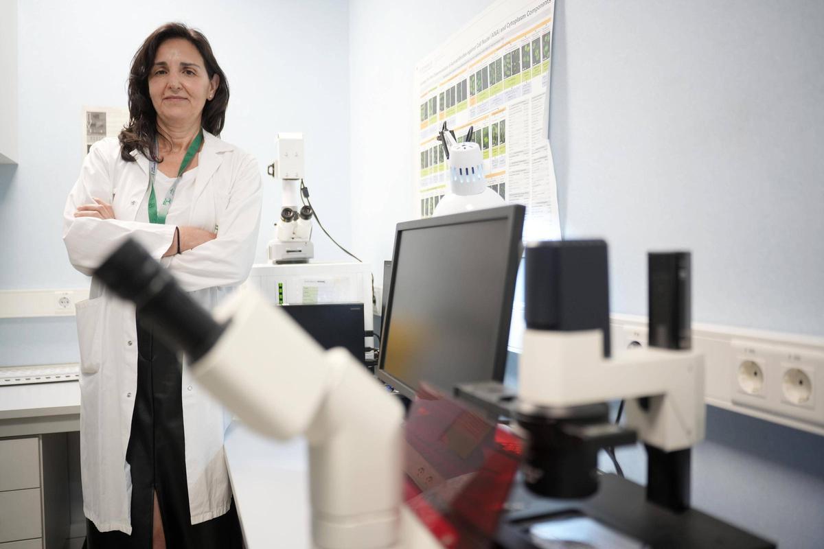 La jefa de Inmunología del hospital Reina Sofía y presidenta del Congreso de la Sociedad Española de Inmunología, Aurora Jurado.