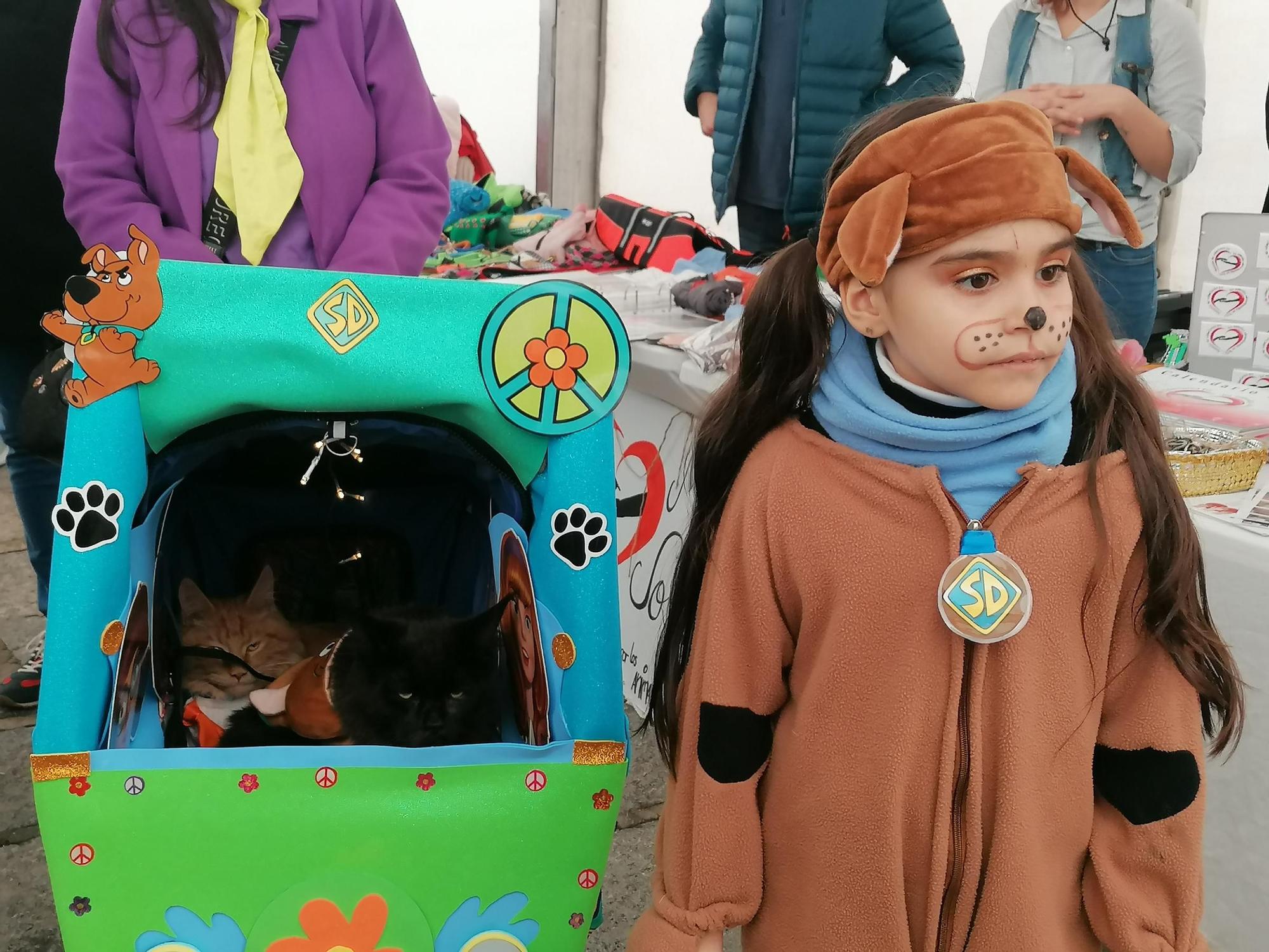 GALERÍA | Los animales se suman a la fiesta en el Carnaval de Toro