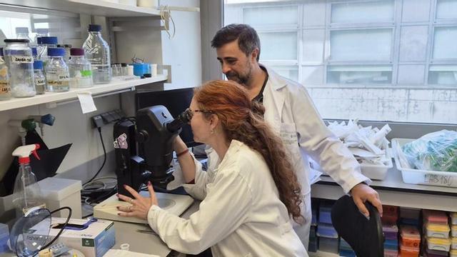 Laboratorio de la Escuela Técnica Superior de Ingenería Agronómica. | CEDIDA